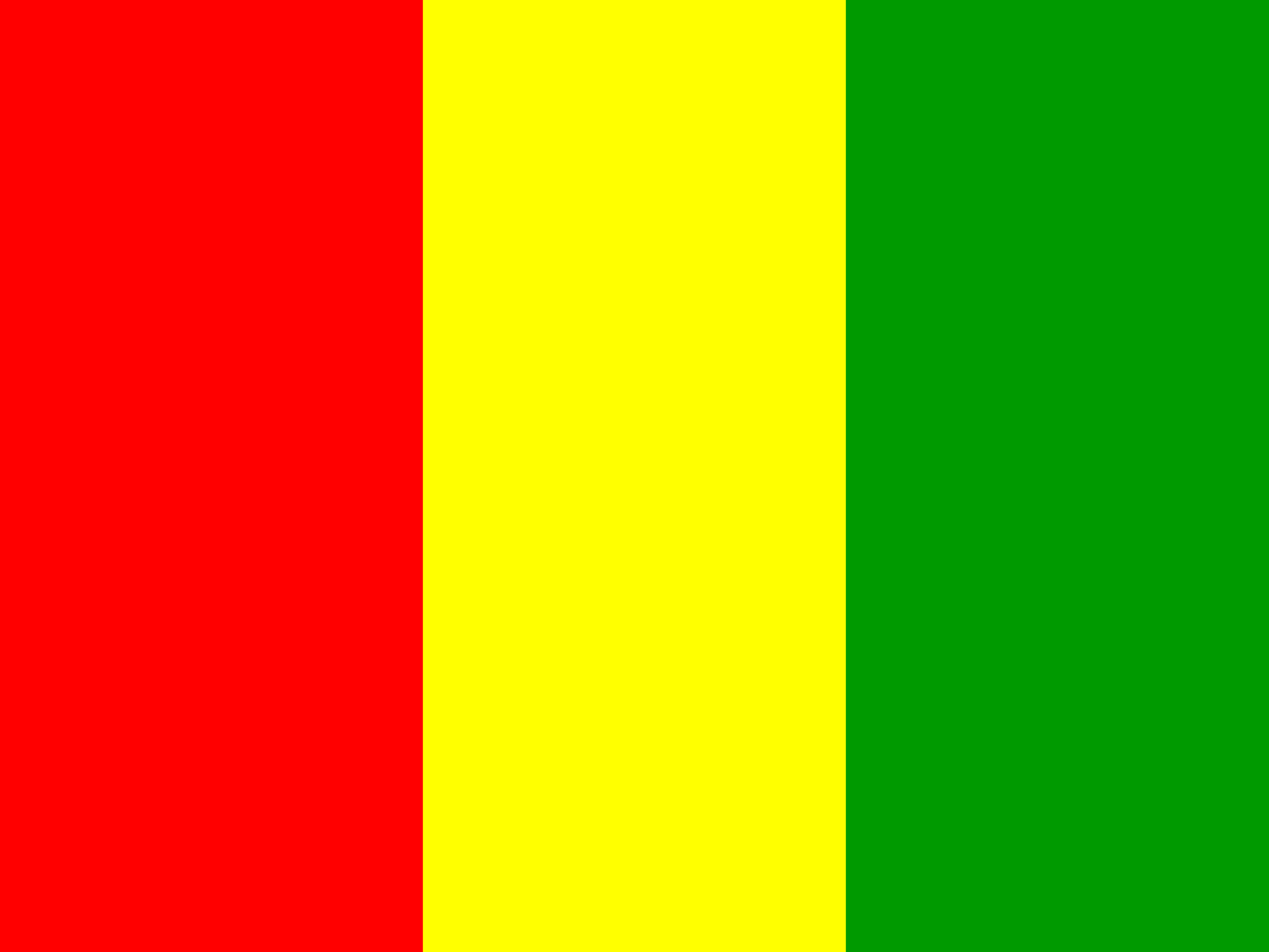 Guinea lippu